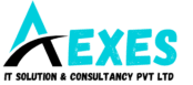 AEXES IT SOLUTIONS & CONSULTANCY PVT LTD